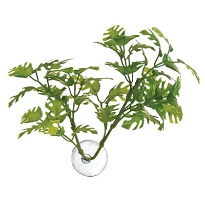 Image of Zoo Med Laboratories AZMBP25 Betta Plant Window Leaf