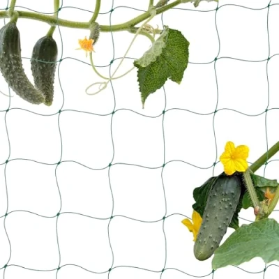 Image of Relaxdays Trellis Net, Cucumber &amp; Flowers Climbing Support, Greenhouse, Mesh Size 10 cm, 200 x 1000 Plastic, Green
