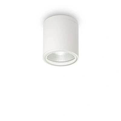 Image of Gun 1 Light Outdoor Surface Mounted Ceiling Downlights White, Polished Chrome IP44, GU10