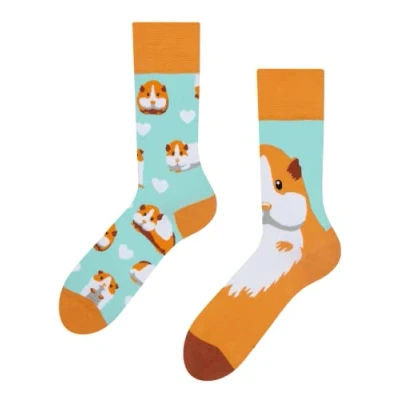 Image of Dedoles Unisex Socks for Women, Men &amp; Kids Cotton Funny Designs Football Bicycle Horses Plants Firefighter Gift Mismatched, Design: Cavies in Love, Colour: Blue, Size: 8 9.5 W / 9 11 M UK
