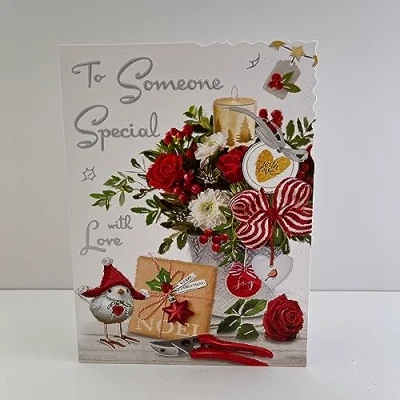 Image of Jonny Javelin Female Someone Special Christmas Card Robin