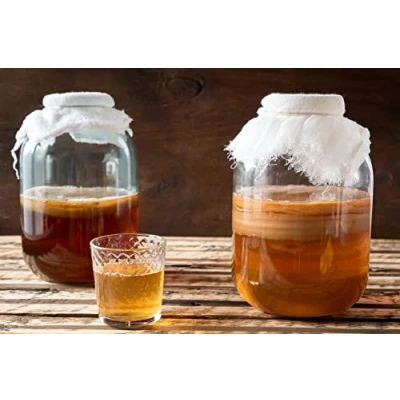 Image of Large Kombucha Scoby From Kombuchaorganic®