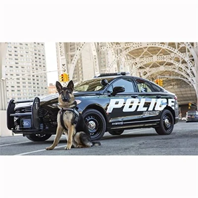 Image of 5D Diamond Paintings kit for Adults Kids, Police Car Dog （25x30cm/10x12in） DIY Art Painting Kits Crystal Rhinestone Cross Stitch Embroidery Pictures Home Office Wall Decor