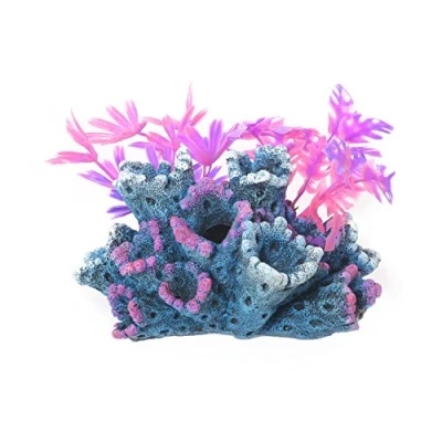 Image of Rosewood Blue Ribbon FANTASY REEF WITH PLANTS