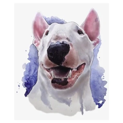 Image of PuPLUm Paint by Numbers Bull Terrier Dog DIY Digital Painting for Beginners, Wall Decor Drawing Gift,40x50cm,Without Frame