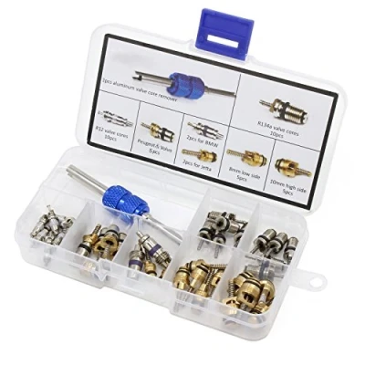 Image of HSeaMall Conditioning A/C Valve Core R12 R134a Automotive Air Refrigeration Tire Stem Cores Remover tool Assortment Kit (40PCS)