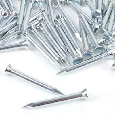 Image of 100x Flat Head Masonry Nails 2.5mm x 25mm Rust Resistant Silver Zinc Finish