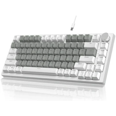 Image of YINDIAO AK820 Mechanical Keyboard with CNC Knob Control,75% ANSI Layout,82Keys Gasket Mount Wired Gaming Keyboard,5 Sound Absorbing Foam,Hot swappable,White Backlit,for PC,MAC (White&amp;Grey)
