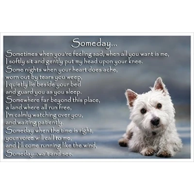 Image of West Highland White Terrier Westie bereavement pet dog loss memorial Flexible Fridge Magnet Someday