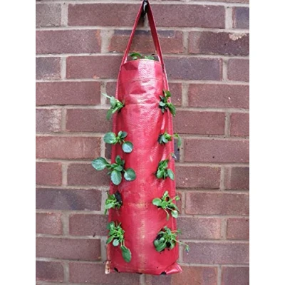 Image of Hanging Garden Strawberry Tomato Flower Fabric Pouches Planters &amp; Bags (Red) Pack of 2