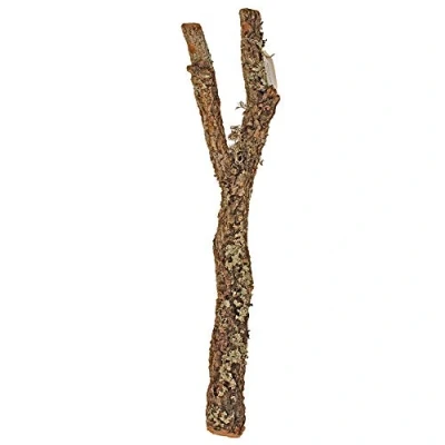 Image of Amtra Cork Branch, 60 cm