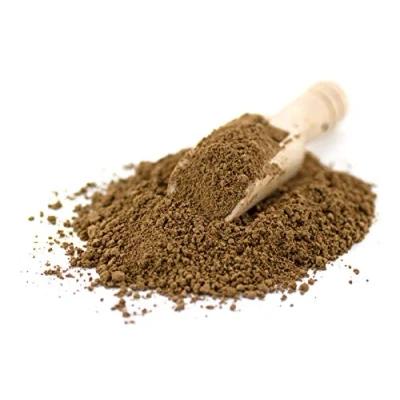 Image of Sussex Wholefoods Organic Reishi Mushroom Powder 100g