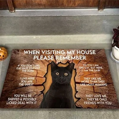 Image of Agriism Door Mat Indoor Entrance Porch Welcome Funny Non Slip Floor Ideal Doormat Home Decor When Visiting My House Please Remember Black Cat Housewarming 24x16 Inch