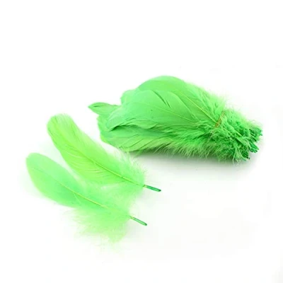 Image of Sowder Natural Goose Feathers Clothing Accessories Pack of 100(Lime Green)