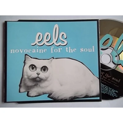 Image of Eels Novocaine For The Soul 1996 UK CD single DRMCD 22174
