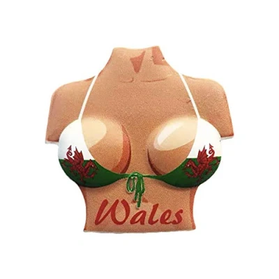 Image of 3D Wales Flag Bikini Refrigerator Fridge Magnet Tourist Souvenirs Handmade Resin Craft Magnetic Stickers Home Kitchen Decoration Travel Gift