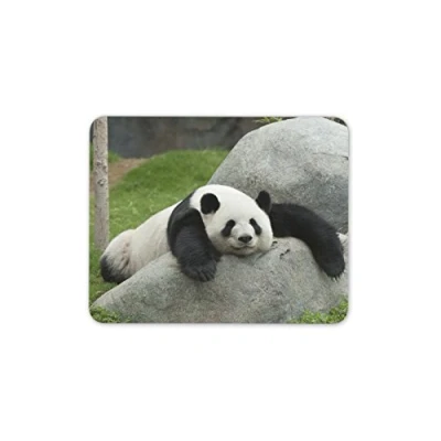 Image of Adorable Panda Bear Mouse Mat Pad Bears Animal Kids Fun Gift PC Computer #8307