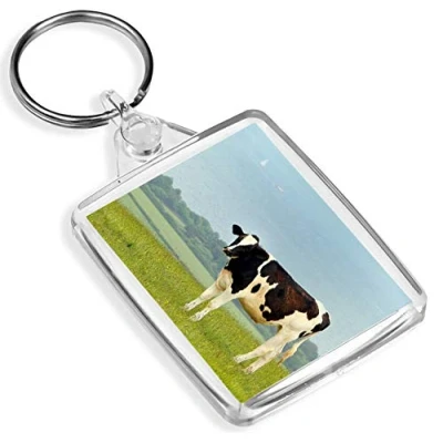 Image of Friesian Cow Keyring Cattle Dairy Farmer Farm #15702