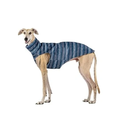 Image of Wool jumper for greyhounds: Style, Warmth and Comfort Stylish design cold protection fit Ideal Greyhound, Podencos Yighters Ethnic, L