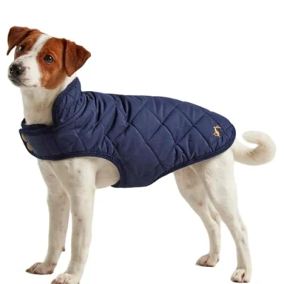 Image of Rosewood Joules Quilted Dog Coat, Navy Blue, Medium