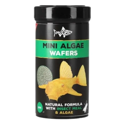 Image of FishScience Mini Algae Wafers Fish Food for Ancistrus and Smaller Eating Aquarium (110g) Tropical