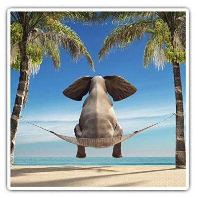 Image of Square Stickers (Set of 2) 10cm Tropical Hammock Elephant Laptop Tablet Luggage Scrapbook #3900