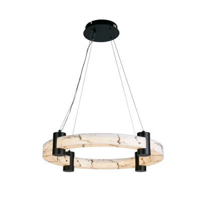 Image of Searchlight Moonbeam LED pendant light, ring, black, white, metal