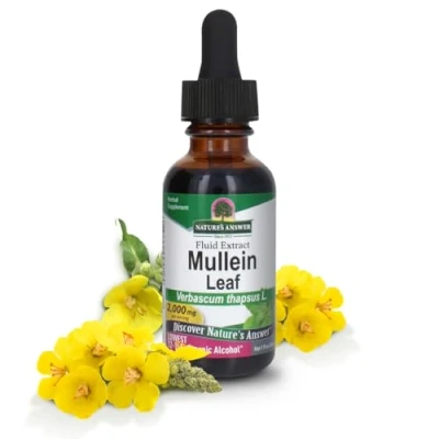 Image of Nature&#039;s Answer Mullein Leaf with Organic Alcohol, 1 Fluid Ounce