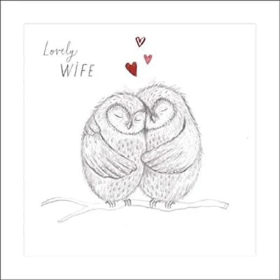 Image of UK Greetings Wife Birthday Card for Women &#039;Lovely Wife&#039; Two Owls on a Branch Eco Friendly