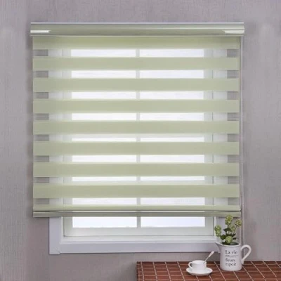 Image of Zebra Blinds Roller Shades Blackout Curtain for Window,Double Layer Sheer Window Treatment Privacy Light Control Blind Living Room Office (Light Green,120x150cm)