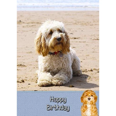 Image of Cockapoo Dog Birthday Card