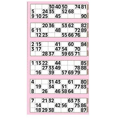 Image of Thomas &amp; Anca Club Supplies Ltd 6000 6 to View Bingo Flyers Tickets (Pink)