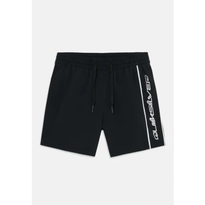 Image of Quiksilver Everyday VERT Volley Swimming shorts, Men&#039;s, Size: M12, Black