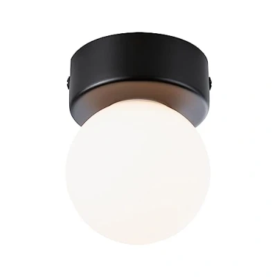 Image of Paulmann 71068 Ceiling luminaire Selection Bathroom Gove IP44 G9 230V max. 20W dimmable Black matt, Satin