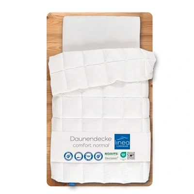 Image of Böhmerwald 309600 20 Duvet 155 x 220 cm with 2.5 Baffle