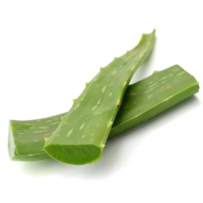 Image of Fresh Aloe Vera Leaf 4 Unit ( 1.5 2 kg each unit)