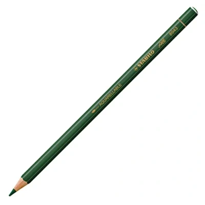 Image of STABILO All Coloured Pencil for Almost Surfaces Pack of 1 Green