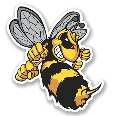 Image of 2 x 25cm/250mm Wasp Bee Hornet Vinyl Sticker Decal Laptop Travel Luggage Car iPad Sign Fun #4637