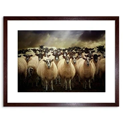 Image of Wee Blue Coo Sheep Flock Farm Animal Photo Framed Wall Art Print