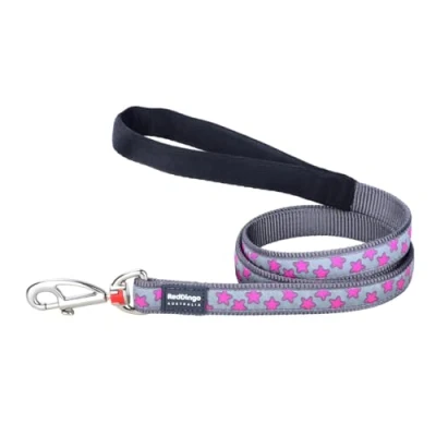 Image of Red Dingo Dog Leash Style Hot Pink On Cool Grey 2 x 120 cm