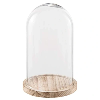 Image of Small Glass Display Bell Jar Cloche on Wooden Base Stand 28 cm