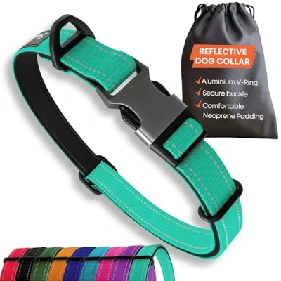 Image of Dog Collar Small Dogs Strong Reflective Adjustable Padded Collars Metal Buckle, Aluminium V ring, Safety