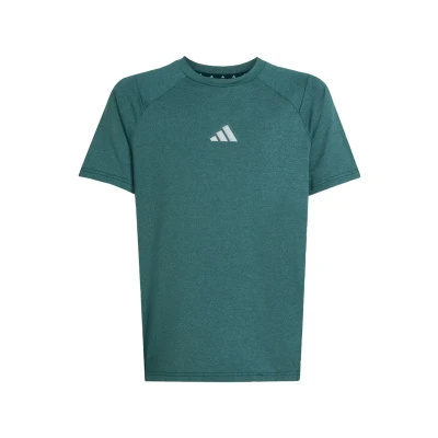 Image of adidas Sportswear ALL Favorite TEE Sports Tshirt aurora ivy powder teal reflective silver for kids, Size: 5 6y