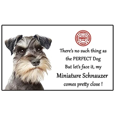 Image of Miniature Schnauzer Dog Gift Perfect Fun novelty Flexible 5&quot; x 3&quot; Magnet