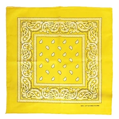 Image of Zac&#039;s Alter Ego Retro Vintage Style Cowboy Paisley Bandana/Neckerchief/Durag