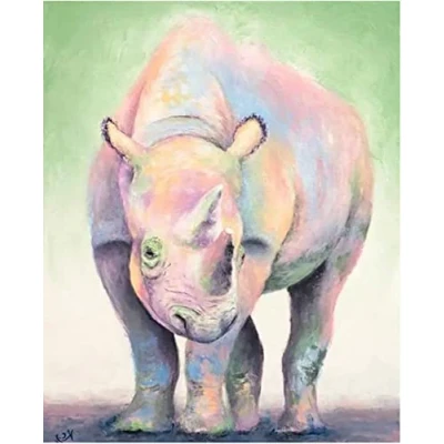 Image of Paint by Numbers for Adults Children Colorful Animal Rhino 16x20 Inch Linen Canvas Acrylic DIY Number Painting Kits Wall Art Decor Gifts with Frame