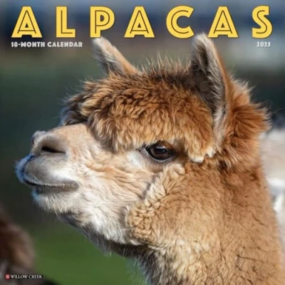 Image of Alpacas 2025 Wall