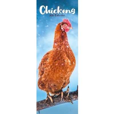 Image of Chickens Slim Calendar 2026