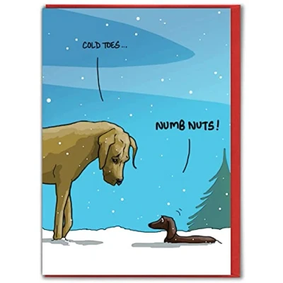 Image of Brainbox Candy Hilariously Funny Dog Christmas Card &#039;Numb Nuts!&#039; Cheeky Xmas Cards For Him Her Partner Friend Lovers