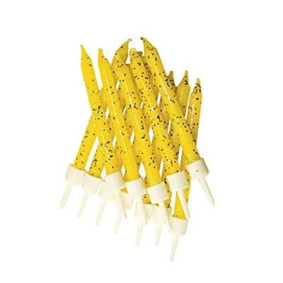 Image of Anniversary House Pack of 12 Yellow Glitter Birthday Candles with Holders, 7.5cm, Celebration Cake Decoration, for Cakes, Cake, AHC174